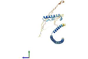 AlphaFold protein structure predicition of Human Recombinant HEXIM2 Protein, UniprotID Q96MH2