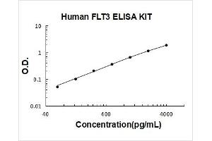 Fms-Related tyrosine Kinase 3 (FLT3) ELISA Kit