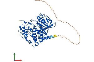 AlphaFold protein structure predicition of Mouse Recombinant Csnk2a1 Protein, UniprotID Q60737
