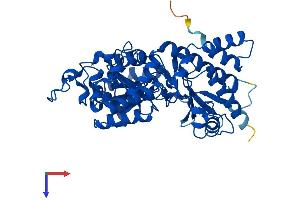 AlphaFold protein structure predicition of Mouse Recombinant Kynu Protein, UniprotID Q9CXF0