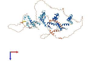 AlphaFold protein structure predicition of Human Recombinant ZNF782 Protein, UniprotID Q6ZMW2