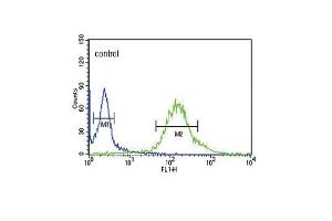 GTSE1 Antibody (C-term) (ABIN653838 and ABIN2843102) flow cytometric analysis of Hela cells (right histogram) compared to a negative control cell (left histogram).