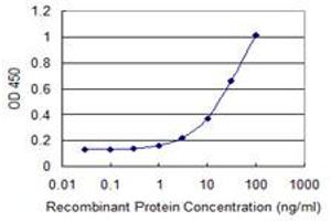 Detection limit for recombinant GST tagged SGOL1 is 0. (Shugoshin anticorps  (AA 1-292))