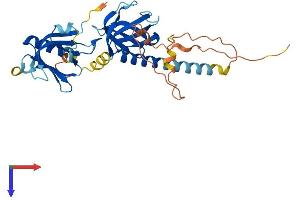AlphaFold protein structure predicition of Human Recombinant DOK4 Protein, UniprotID Q8TEW6