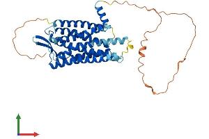 AlphaFold protein structure predicition of Human Recombinant GALR2 Protein, UniprotID O43603