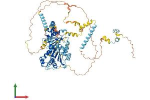 AlphaFold protein structure predicition of Mouse Recombinant Ddx27 Protein, UniprotID Q921N6