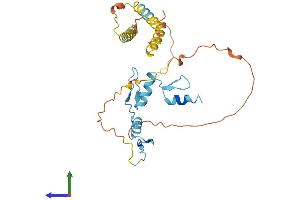 AlphaFold protein structure predicition of Human Recombinant KLF6 Protein, UniprotID Q99612