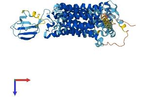 AlphaFold protein structure predicition of Human Recombinant SLC22A16 Protein, UniprotID Q86VW1
