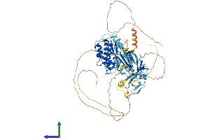 AlphaFold protein structure predicition of Human Recombinant DCLK2 Protein, UniprotID Q8N568