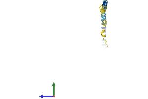 AlphaFold protein structure predicition of Human Recombinant KCNE2 Protein, UniprotID Q9Y6J6