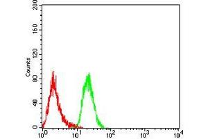 Flow cytometric analysis of Hela cells using DHX58 mouse mAb (green) and negative control (red). (DHX58 anticorps  (AA 479-678))