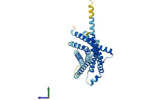 AlphaFold protein structure predicition of Human Recombinant TAS2R30 Protein, UniprotID P59541