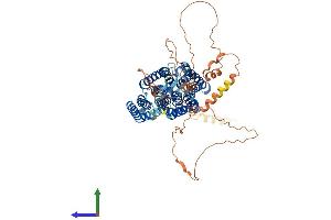 AlphaFold protein structure predicition of Mouse Recombinant Slc20a1 Protein, UniprotID Q61609