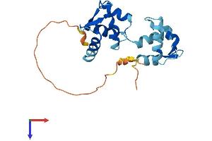 AlphaFold protein structure predicition of Human Recombinant CALML4 Protein, UniprotID Q96GE6