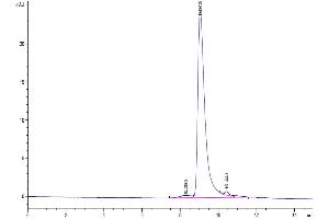 The purity of SARS-Cov-2 Spike RBD (Omicron BA.