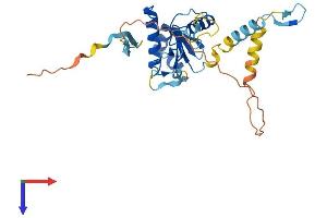 AlphaFold protein structure predicition of Human Recombinant GRXCR1 Protein, UniprotID A8MXD5