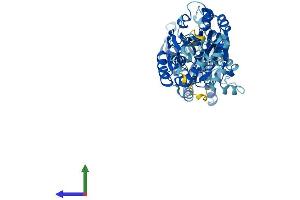 AlphaFold protein structure predicition of Human Recombinant INTS11 Protein, UniprotID Q5TA45
