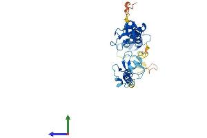 AlphaFold protein structure predicition of Mouse Recombinant Rnf144b Protein, UniprotID Q8BKD6