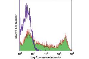 Image no. 1 for anti-CD1b (CD1B) antibody (ABIN205400) (CD1b anticorps)