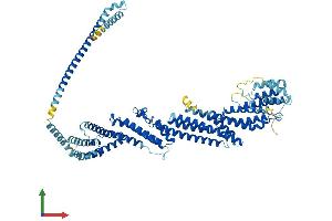 AlphaFold protein structure predicition of Mouse Recombinant Exoc3 Protein, UniprotID Q6KAR6