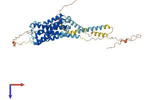 AlphaFold protein structure predicition of Human Recombinant HTR7 Protein, UniprotID P34969