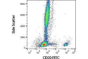 Flow cytometry surface staining pattern of human peripheral whole blood stained using anti-human CD20 (2H7) FITC antibody (20 μL reagent / 100 μL of peripheral whole blood).