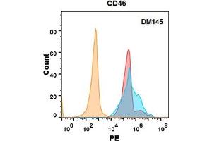 CD46 protein is highly expressed on the surface of Expi293 cell membrane. (CD46 anticorps  (AA 35-328))