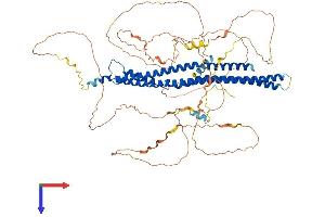 AlphaFold protein structure predicition of Human Recombinant MTSS1 Protein, UniprotID O43312