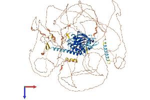 AlphaFold protein structure predicition of Human Recombinant AATK Protein, UniprotID Q6ZMQ8