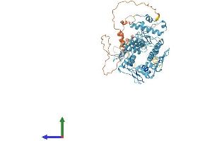 AlphaFold protein structure predicition of Human Recombinant ZNF254 Protein, UniprotID O75437