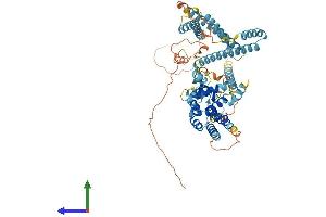 AlphaFold protein structure predicition of Human Recombinant RUNDC1 Protein, UniprotID Q96C34