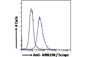 ABIN185086 Flow cytometric analysis of paraformaldehyde fixed MCF7 cells (blue line), permeabilized with 0.