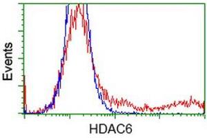 HEK293T cells transfected with either RC209649 overexpress plasmid (Red) or empty vector control plasmid (Blue) were immunostained by anti-HDAC6 antibody (ABIN2454079), and then analyzed by flow cytometry. (HDAC6 anticorps)