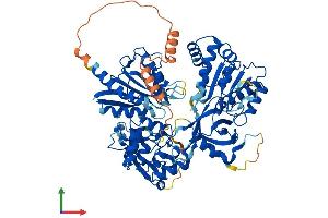 AlphaFold protein structure predicition of Mouse Recombinant Mtrr Protein, UniprotID Q8C1A3