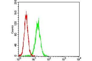 Flow cytometric analysis of Hela cells using WT1 mouse mAb (green) and negative control (red).