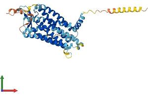 AlphaFold protein structure predicition of Mouse Recombinant Bdkrb2 Protein, UniprotID P32299