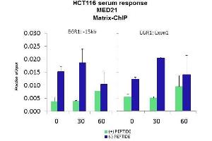 Quiescent human colon carcinoma HCT116 cultures were treated with 10% FBS for three time points (0, 15, 30min) or (0, 30, 60min) were used in Matrix-ChIP and real-time PCR assays at EGR1 gene (Exon1) and 15kb upstream site.