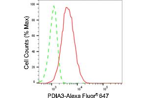 Flow cytometric analysis of PDIA3 expression in HeLa cells using PDIA3 antibody (ABIN7799976), 1:2,000).