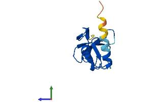 AlphaFold protein structure predicition of Mouse Recombinant Cdpf1 Protein, UniprotID Q8R3A2