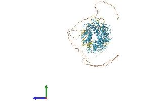 AlphaFold protein structure predicition of Human Recombinant ZFP62 Protein, UniprotID Q8NB50