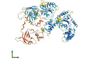 AlphaFold protein structure predicition of Human Recombinant PEX6 Protein, UniprotID Q13608