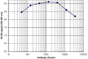 ELISA was performed using a serial dilution of Mbd2 polyclonal antibody . (MBD2 anticorps)