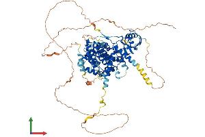 AlphaFold protein structure predicition of Human Recombinant ARHGAP28 Protein, UniprotID Q9P2N2