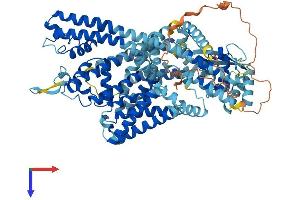 AlphaFold protein structure predicition of Mouse Recombinant Tpcn1 Protein, UniprotID Q9EQJ0