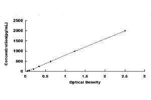 Complement Component 1, Q Subcomponent, B Chain (C1QB) ELISA Kit