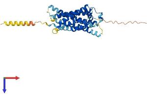 AlphaFold protein structure predicition of Mouse Recombinant Mas1 Protein, UniprotID P30554