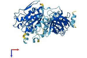AlphaFold protein structure predicition of Human Recombinant EEF1A2 Protein, UniprotID Q05639