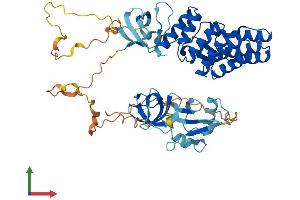AlphaFold protein structure predicition of Human Recombinant NCF2 Protein, UniprotID P19878