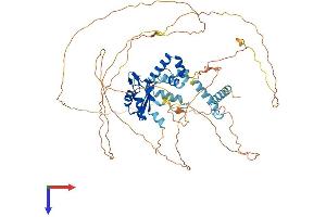 AlphaFold protein structure predicition of Mouse Recombinant Cstf2t Protein, UniprotID Q8C7E9