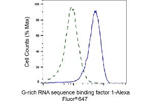 Validation of G-rich RNA sequence binding factor 1 knockdown using flow cytometry. (Recombinant GRSF1 anticorps)